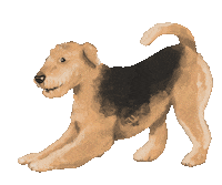 DoveLewisPDX dog waggingtail wetnose dovelewis Sticker