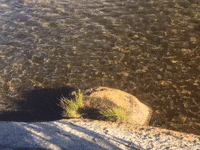 Cinemagraph GIF by Justin