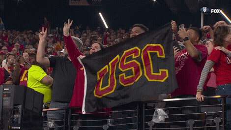 Flag Fight On GIF by USC Trojans