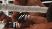 Fight Ufc GIF by VVS FILMS