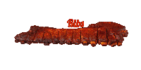 Chicken Bbq Sticker by MiamiRibsNick