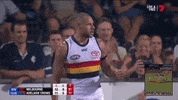 adelaidecrows celebration 2019 afl cmon GIF