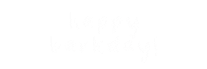 Happy Birthday Text Sticker by Knibbles x Klick Singapore