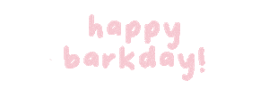 Happy Birthday Love Sticker by Knibbles x Klick Singapore