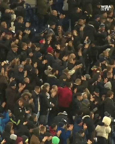 West Brom Football GIF by West Bromwich Albion