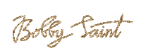 glitter gold Sticker by Bobby Saint