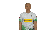 Excited Borussia Moenchengladbach Sticker by Bundesliga