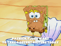 season 5 episode 13 GIF by SpongeBob SquarePants
