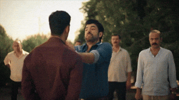 Bereketli Topraklar GIF by Show TV