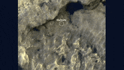 Mars Jpl GIF by NASA