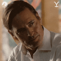 Josh Holloway Yes GIF by Yellowstone