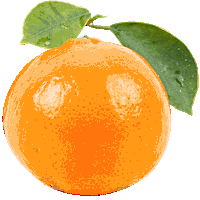 Summer Beer Sticker by Alewerks Brewing Company