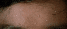 martial arts duel GIF by Shaw Brothers