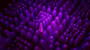 friedpixels animation loop design motion graphics GIF