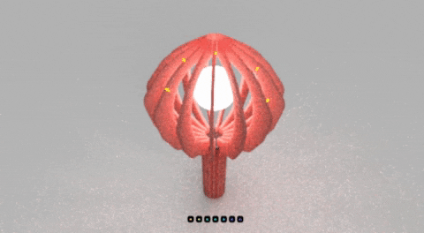 aaltoarchives giphygifmaker giphyattribution GIF