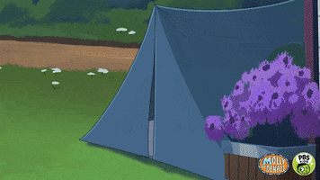 Camping Molly Of Denali GIF by PBS KIDS