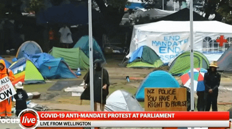 jyujin giphyupload GIF