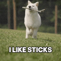 Play Playing GIF by Colossal