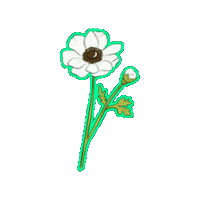 Flower Sticker