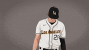 Baseball Calstatela GIF by Cal State LA Golden Eagles