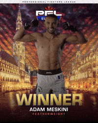 Ufc Win GIF by Old School Academy