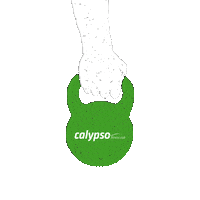 calypso_poland fitness gym calypso kettle Sticker