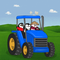 Penguin Farm GIF by Pudgy Penguins