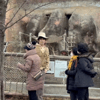 youjunglan 류정란 정란 GIF