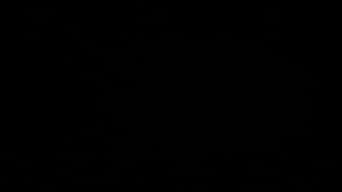 Shane_GRAFT giphygifmaker graft GIF