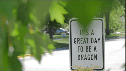 dragons great day GIF by Minnesota State University Moorhead