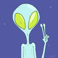 Space Fox GIF by Animation Domination High-Def