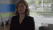 usa network television GIF by Psych