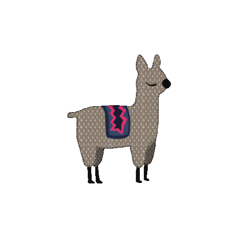 Funny Snaps Sticker by Scout