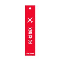 Airplane Flight Sticker by Pilatus Aircraft