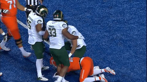 Csurams Gorams GIF by Colorado State Rams
