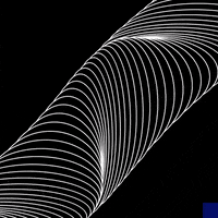 black and white animation GIF by The New Big Poppa E