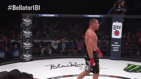 GIF by Bellator