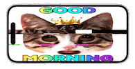 Sorry Good Morning Sticker by PEEKASSO