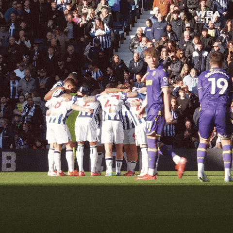 West Brom Wba GIF by West Bromwich Albion