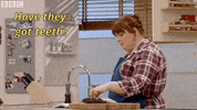 GIF by BBC