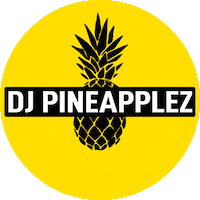 DJPineapplez record pineapple dj pineapplez djpineapplez Sticker