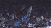 Football Soccer GIF by FC Schalke 04