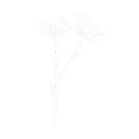 Wedding Eskuvo Sticker