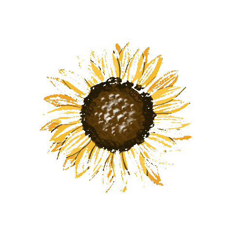 lottywf nature flower flor sunflower Sticker