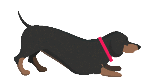 Illustration Dachshund Sticker by Vitality