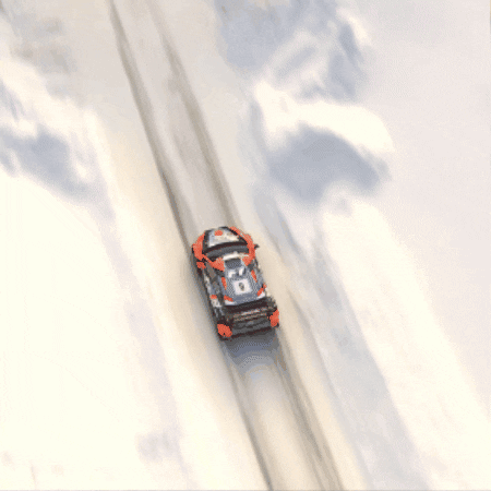Rallying Fast Car GIF by FIA World Rally Championship
