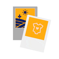 Photo Fotos Sticker by Pao Vidal