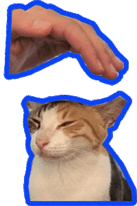 Cats Love Sticker by studio&more