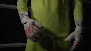 Germany Football GIF by Bundesliga