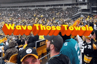 Pittsburgh Pa Football GIF by Mike Hitt